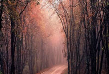 [图]欧联杯-B费补时绝杀 曼联2-1流浪者升至第4.