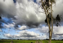 2-1!世界第一轰然倒地,贾一凡/张殊贤笑傲德比,夺赛季首冠!.